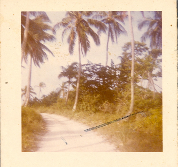 utila-point-road-back-of-the-point-1960s