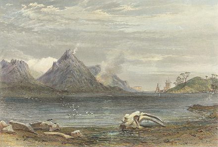 Wineglass bay 1875