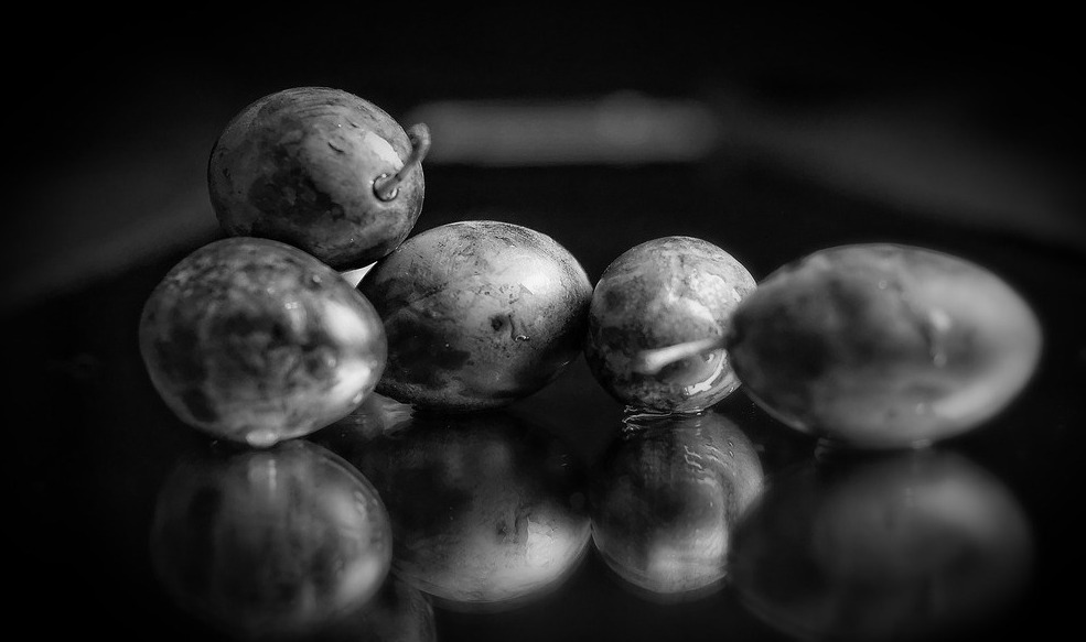 plums-2-b-w
